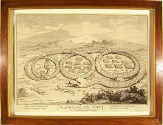 The American Rattle Snake