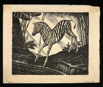 Zebra