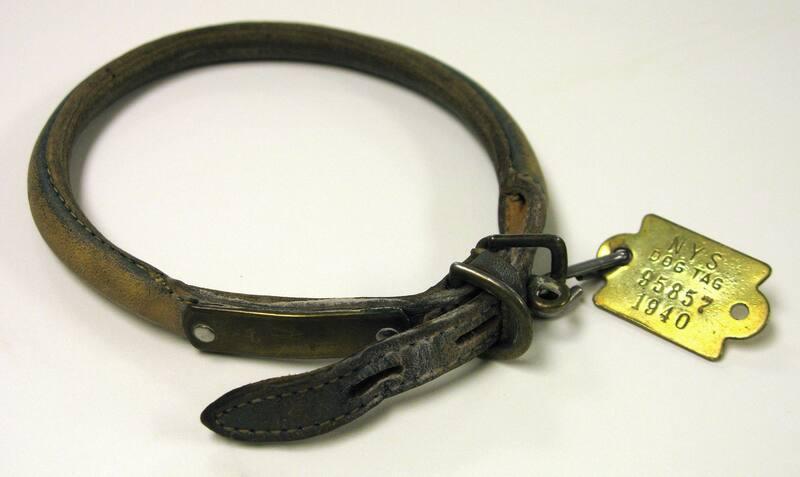 Collar and New York State Dog License Used by Fala