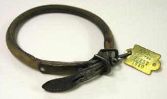 Collar and New York State Dog License Used by Fala