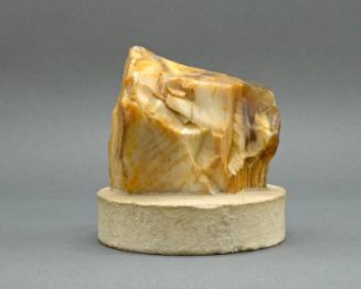 Petrified Wood Paperweight