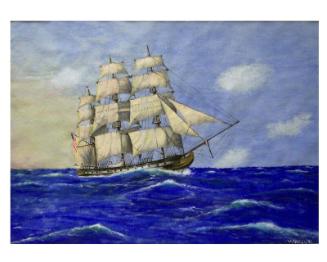 The U.S.S. Congress