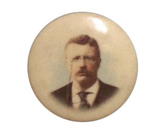 Theodore Roosevelt Campaign Button, 1904