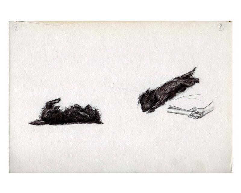 Illustration for The True Story of Fala