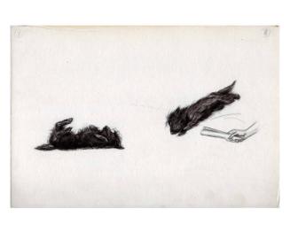Illustration for The True Story of Fala