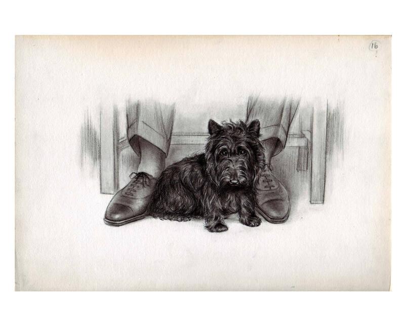 Illustration for The True Story of Fala