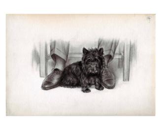 Illustration for The True Story of Fala
