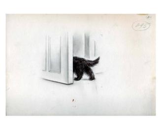 Illustration for The True Story of Fala