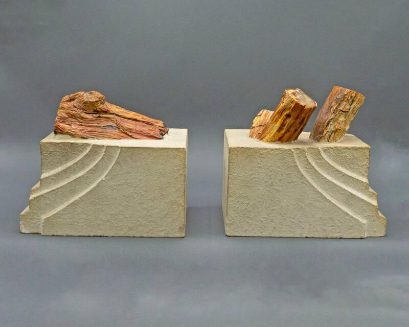 Petrified Wood Bookends