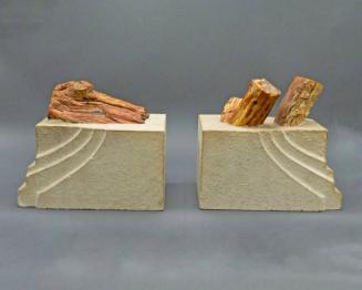 Petrified Wood Bookends
