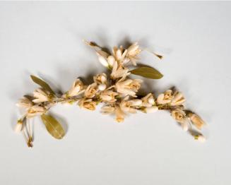 Artificial Orange Blossoms Worn by Eleanor Roosevelt