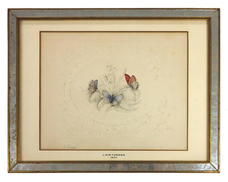 Flower and Butterflies Sketch