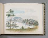Watercolor view of an elm tree and shoreline high above a body of water.  Image courtesy of the…