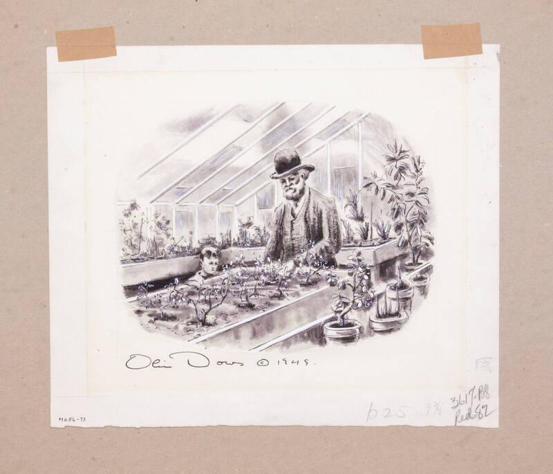 Illustration for Franklin Roosevelt at Hyde Park: The Greenhouse