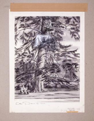 Illustration for Franklin Roosevelt at Hyde Park: The Crow's Nest
