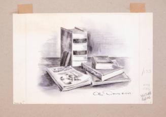 Illustration for Franklin Roosevelt at Hyde Park: Webster's Dictionary, Books, and Magazines