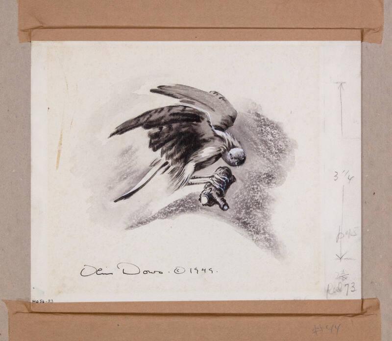 Illustration for Franklin Roosevelt at Hyde Park: Image of Sparrow Hawk