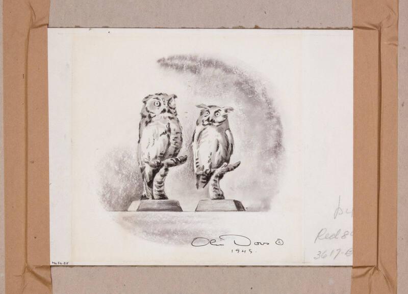 Illustration for Franklin Roosevelt at Hyde Park: Screech Owls
