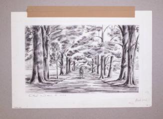 Illustration for Franklin Roosevelt at Hyde Park: Walking Down the Drive
