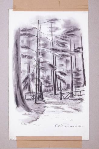 Illustration for Franklin Roosevelt at Hyde Park: The Gateway to the Woods