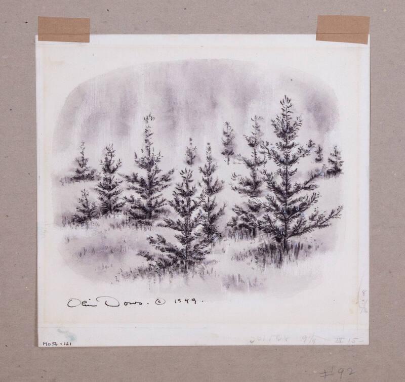 Illustration for Franklin Roosevelt at Hyde Park: Evergreen Trees on FDR's Farm
