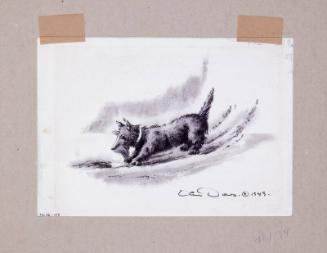 Illustration for Franklin Roosevelt at Hyde Park: Fala