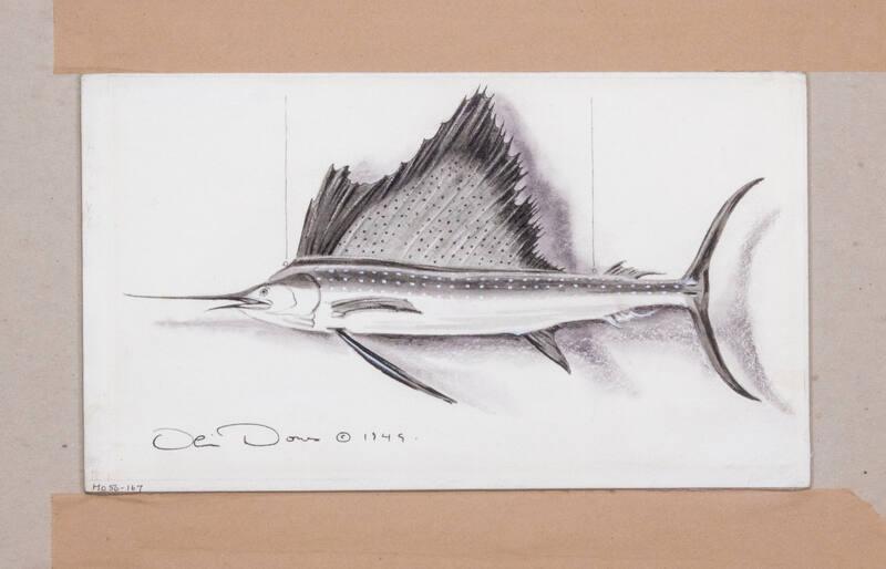 Illustration for Franklin Roosevelt at Hyde Park: Sail Fish