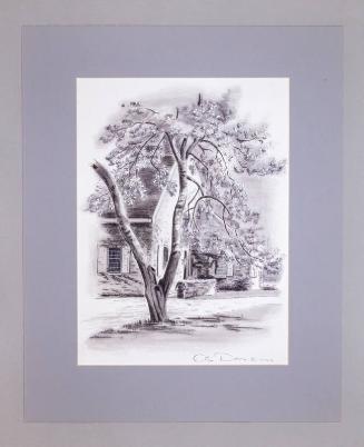 Illustration for Franklin Roosevelt at Hyde Park: Ramp to F.D.R.'s Private Entrance to the Library