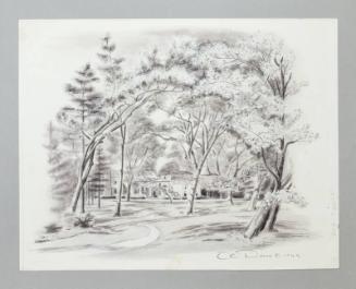 Illustration for Franklin Roosevelt at Hyde Park: The House from the Path