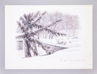 Illustration for Franklin Roosevelt at Hyde Park: Caught in Snow Drifts