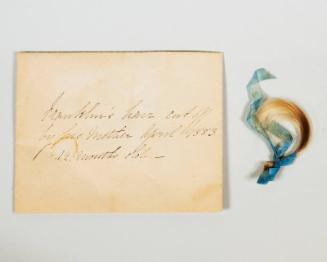 Lock of Franklin Roosevelt's Hair