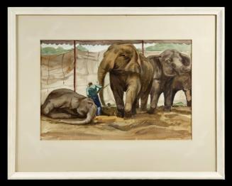 Dusting off the Elephants