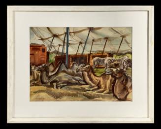 The Camels at the Circus