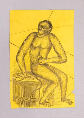 The Chopped-Up Monkey