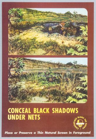 Conceal Black Shadows Under Nets