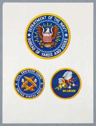 U.S. Navy Insignias Print