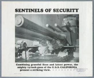 Sentinels of Security