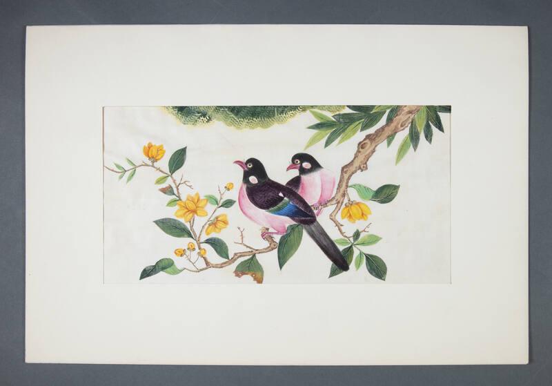 Image courtesy of the Franklin D. Roosevelt Presidential Library and Museum.