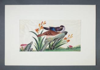 Image courtesy of the Franklin D. Roosevelt Presidential Library and Museum.