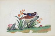 Image courtesy of the Franklin D. Roosevelt Presidential Library and Museum.