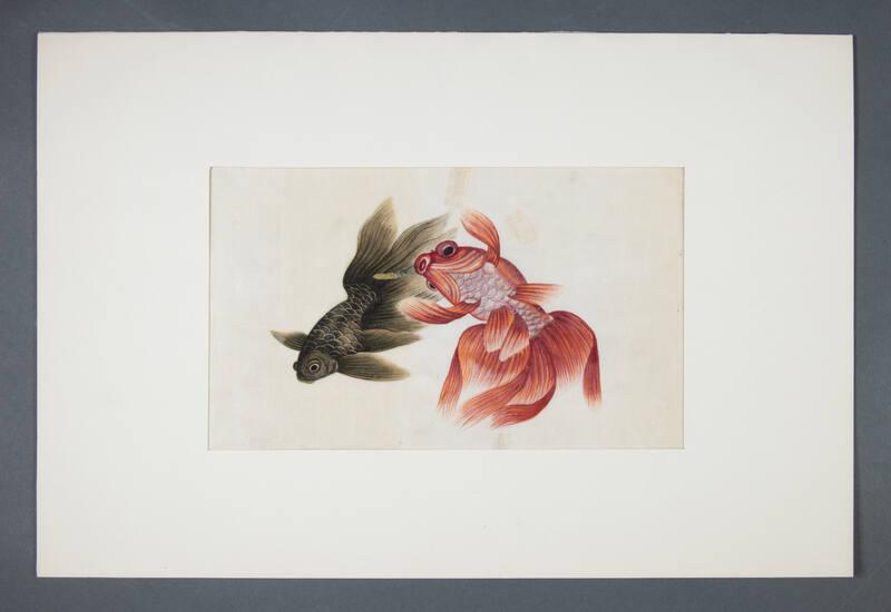 Image courtesy of the Franklin D. Roosevelt Presidential Library and Museum.