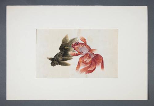 Image courtesy of the Franklin D. Roosevelt Presidential Library and Museum.