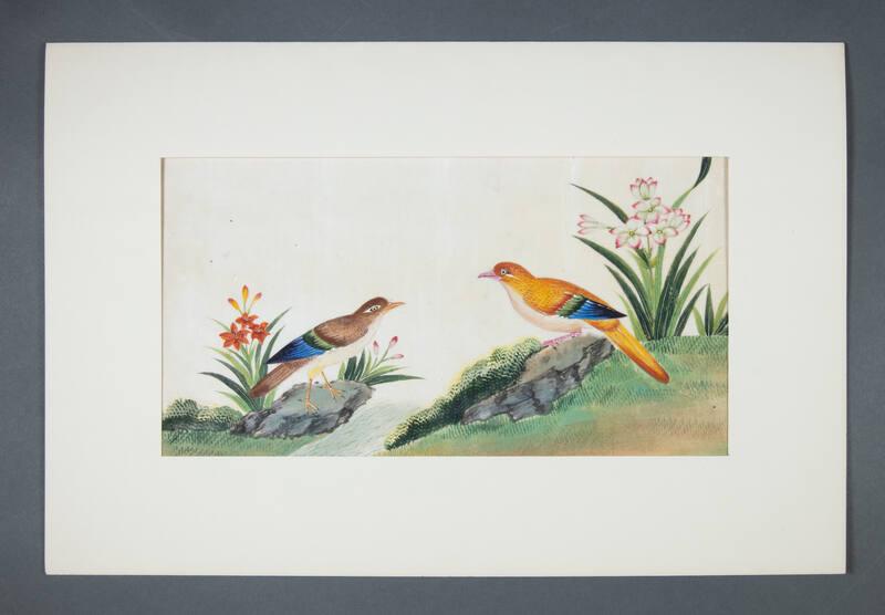 Image courtesy of the Franklin D. Roosevelt Presidential Library and Museum.