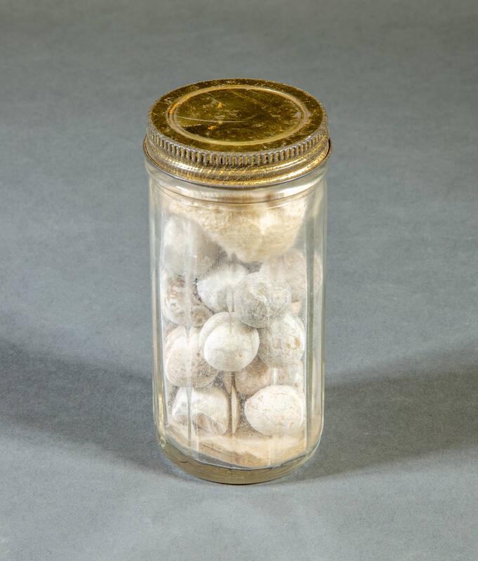 Revolutionary War Musket Balls