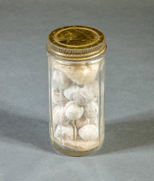 Image courtesy of the Franklin D. Roosevelt Presidential Library and Museum.