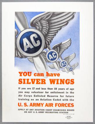 You Can Have Silver Wings