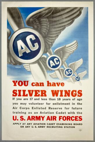 You Can Have Silver Wings