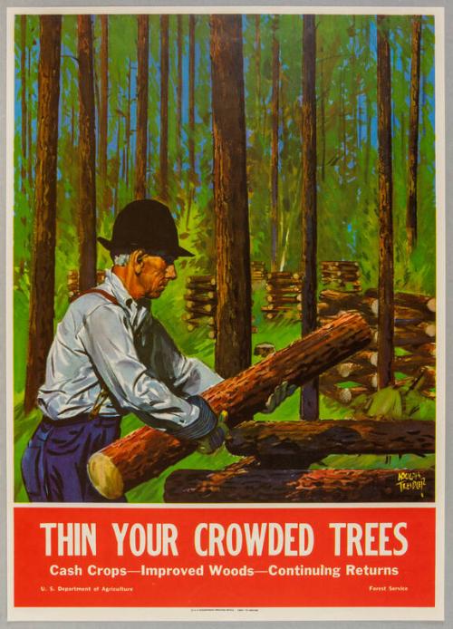 Image courtesy of the Franklin D. Roosevelt Presidential Library and Museum.