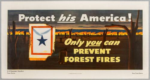 Image courtesy of the Franklin D. Roosevelt Presidential Library and Museum.