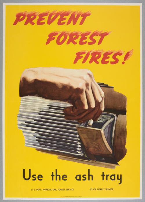 Image courtesy of the Franklin D. Roosevelt Presidential Library and Museum.